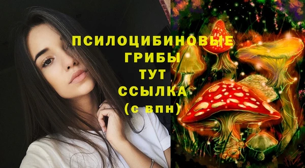 мет Алзамай
